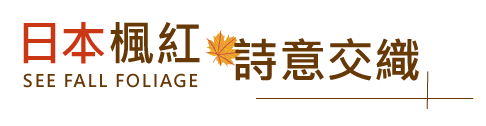 追楓美加東.壯觀動人